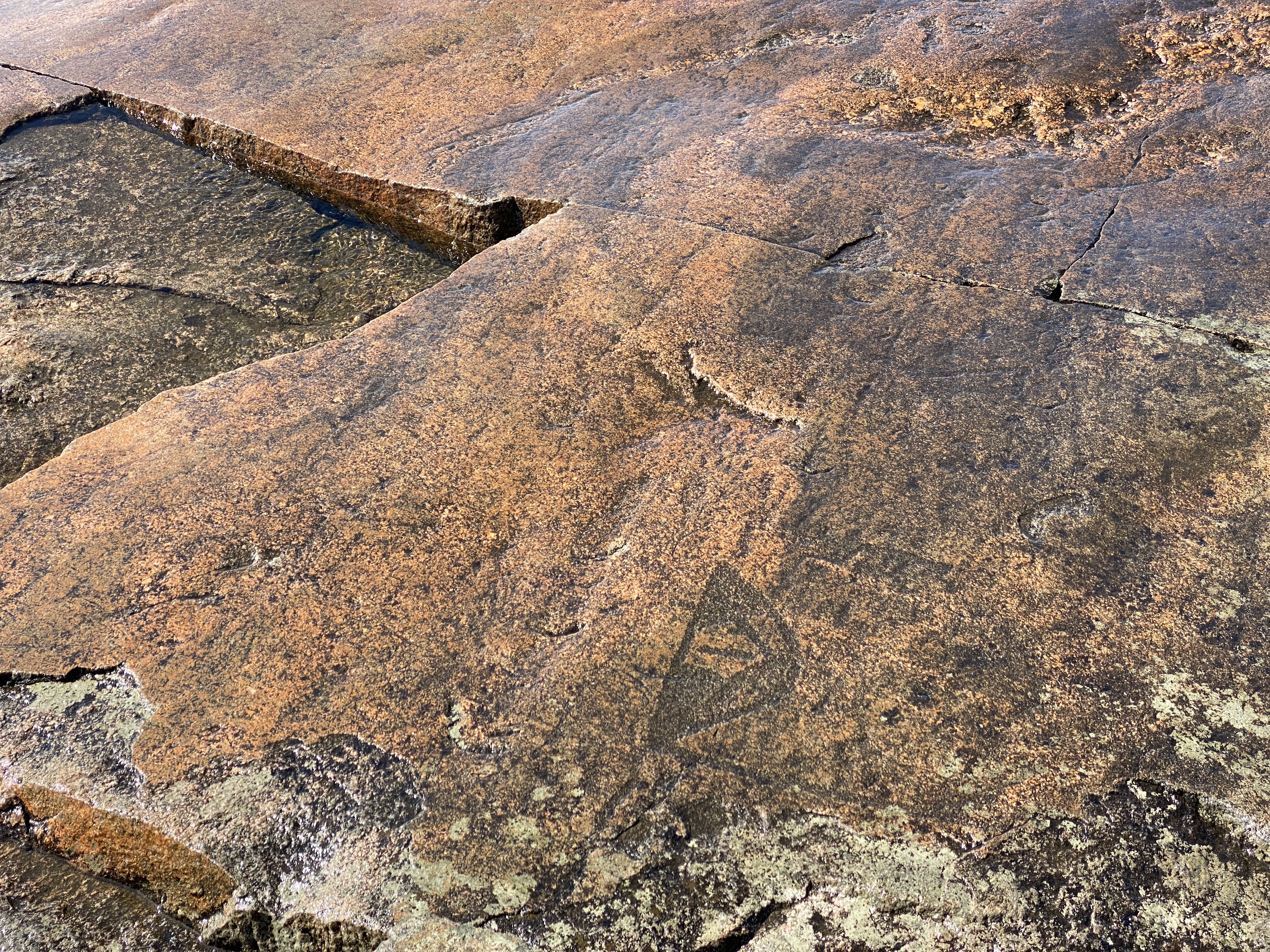 2021 08 04 14.35.18